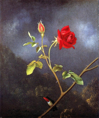 Martin Johnson Heade Red Rose With Ruby Throat Wall Decal Print
