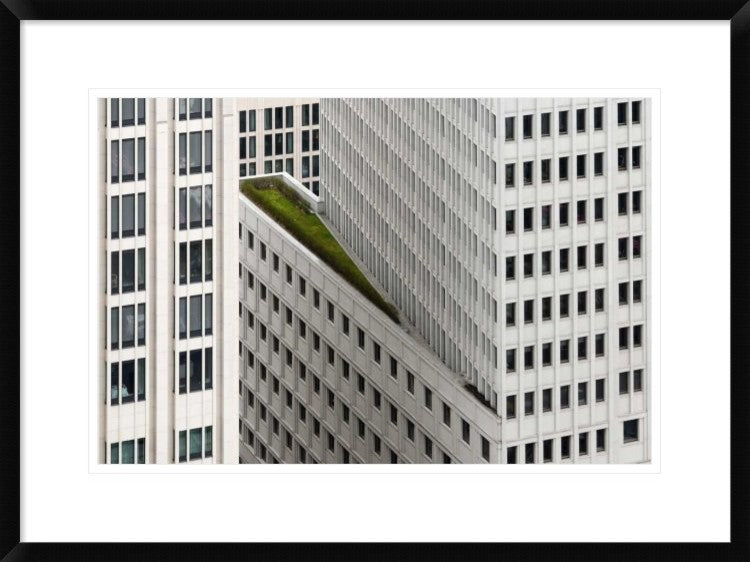 "The Green Element" Framed Digital Print by Dan Clausen Hansen, 30x22"