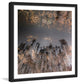 "To The Sky" Framed Print by Karolis Janulis