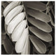 "Tropical Plant I" Digital Paper Print by Debra Van Swearingen, 26"x26"