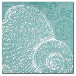 'Aqua Treasure IV' Canvas Art by Daphne Brissonnet