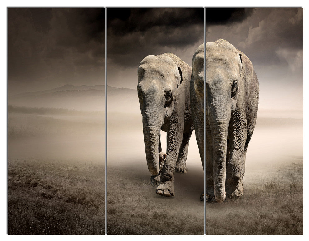 Elephant Pair in Motion, Animal Canvas Wall Art, 36x28, 3 Panels