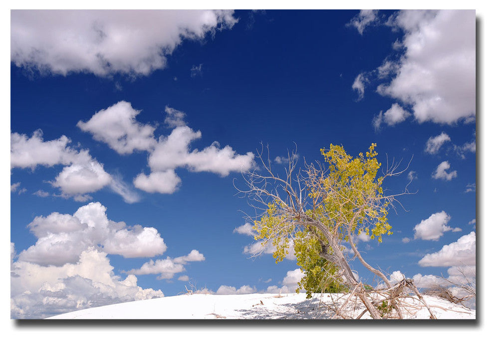 ''Clouds and Loneliness'' Canvas Art by Philippe Sainte-Laudy