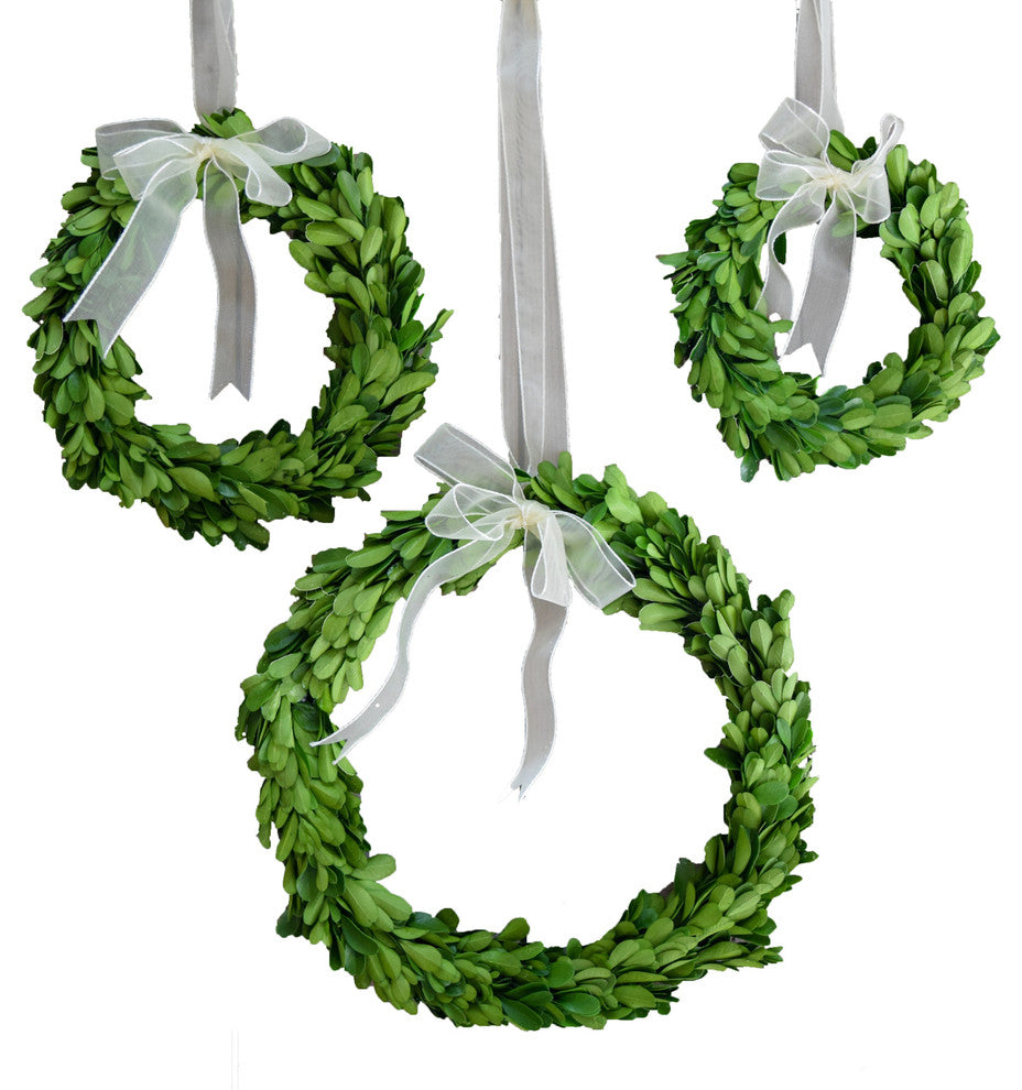 Boxwood Wreath Set Round With Ribbon