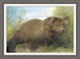 Wildlife Impression 1, Giclee Reproduction Artwork