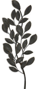 Natural Branch