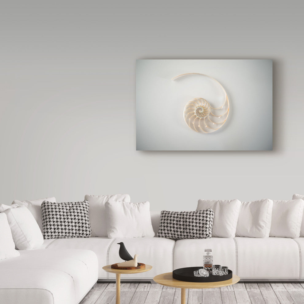 "White Broken Shell" by Lightboxjournal, Canvas Art, 30"x47"
