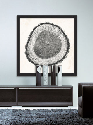 "Tree Ring II" Framed Painting Print, 24"x24"