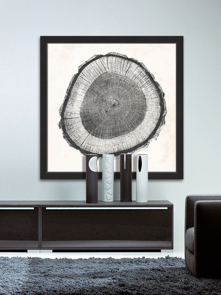 "Tree Ring II" Framed Painting Print, 24"x24"