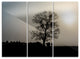 "Frosty Spring Morning Sunrise With Tree" Metal Wall Art, 3 Panels, 36"x28"