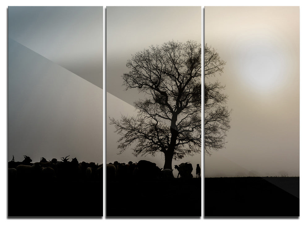 "Frosty Spring Morning Sunrise With Tree" Metal Wall Art, 3 Panels, 36"x28"