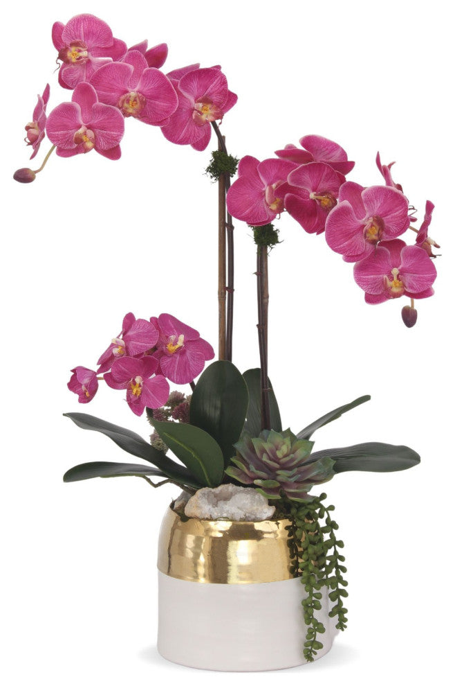 Fuchsia Orchids Arrangement, Round Ceramic Pot