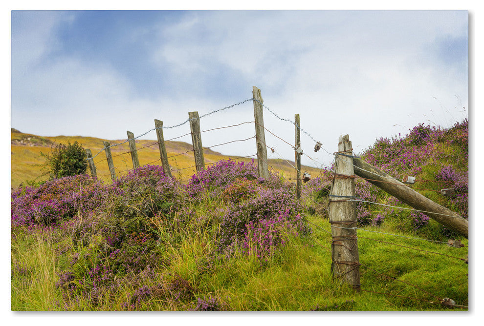 ''Fence Heather'' Canvas Art by Philippe Sainte-Laudy