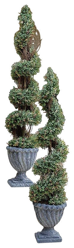 Spiral Topiary, 54"