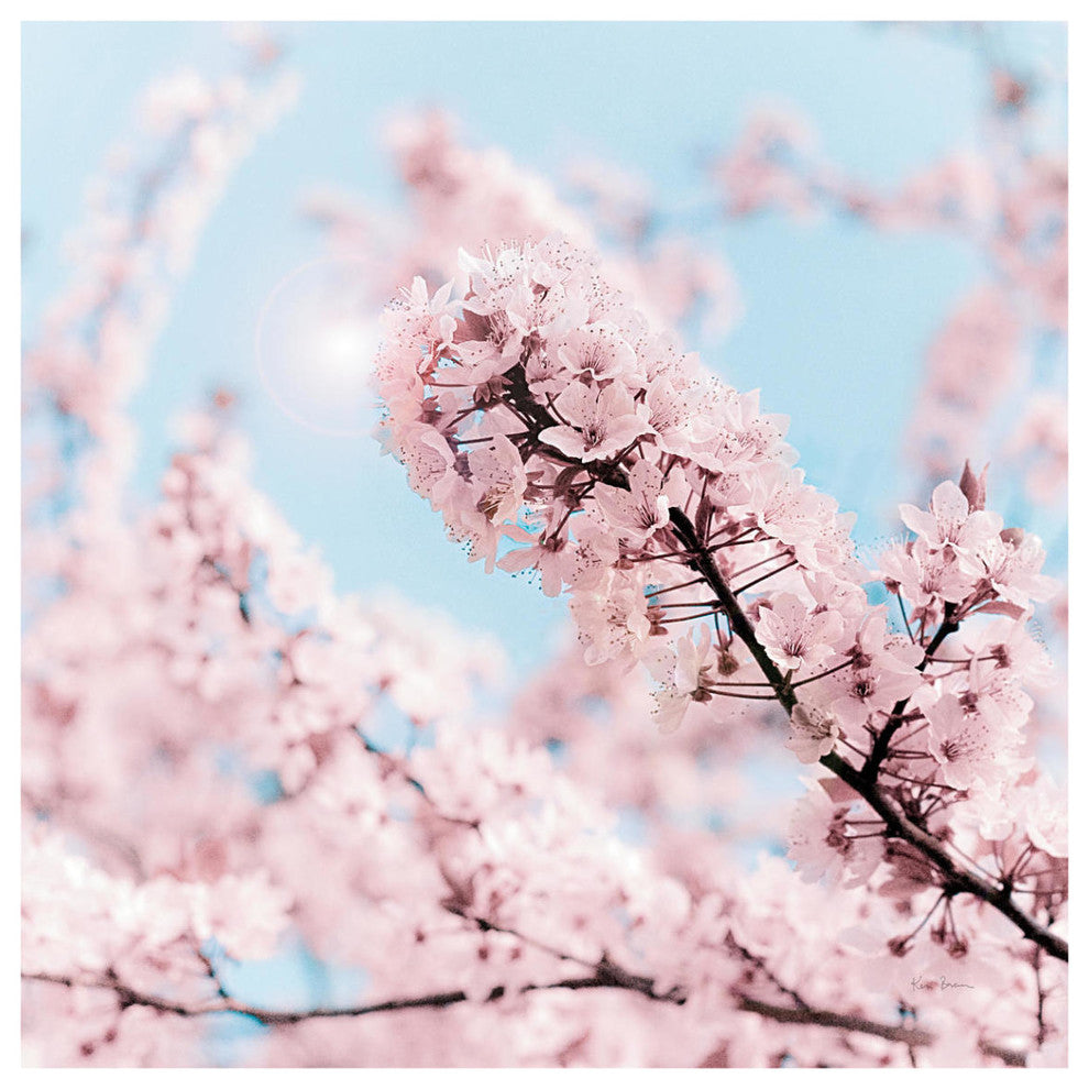 "Cherry Blossom Clouds" Digital Paper Print by Keri Bevan, 42"x42"