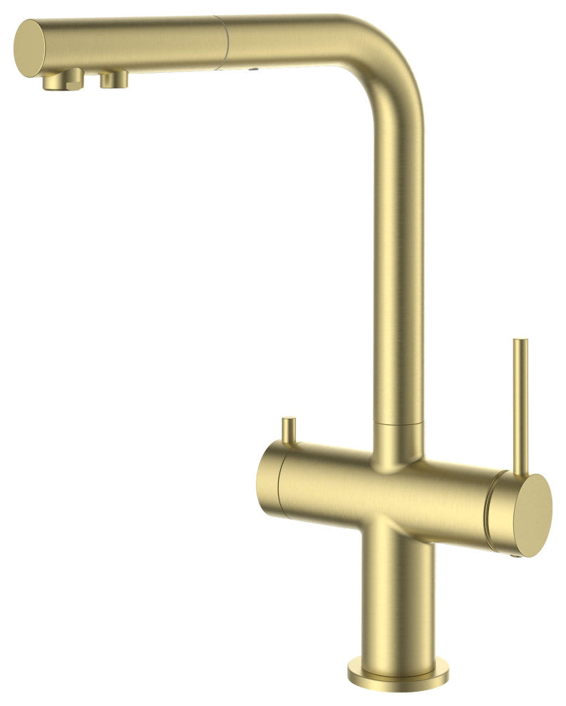 Circular 2-in-1 Water Filter Kitchen Pull Out Faucet, Brushed Gold