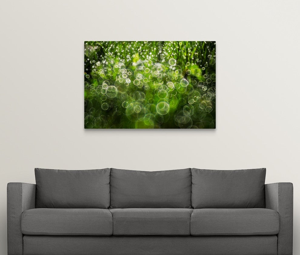 "Dew Drops On Grass" Wrapped Canvas Art Print, 48"x32"x1.5"