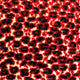 Crimson Cheetah Black and Red Luxury Throw Pillow, 24"x24"