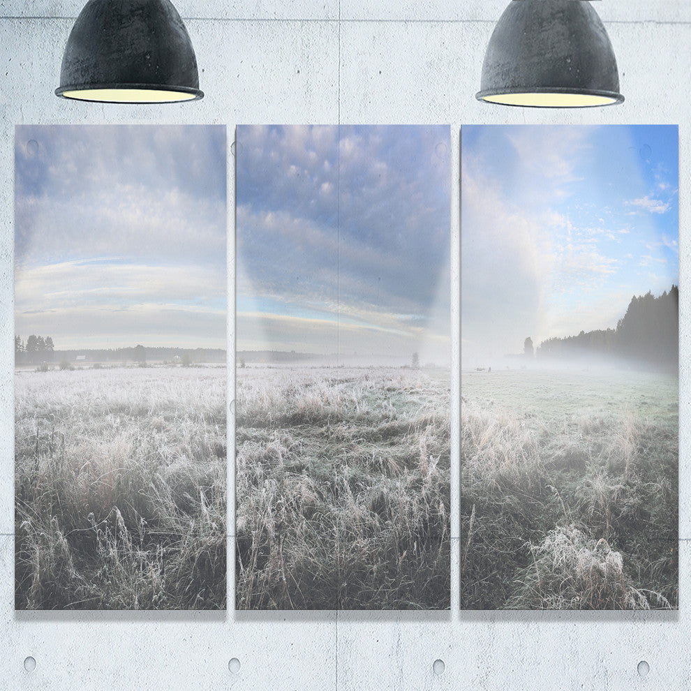 "Hoarfrost on Grass Under Cloudy Sky" Metal Wall Art, 3 Panels, 36"x28"
