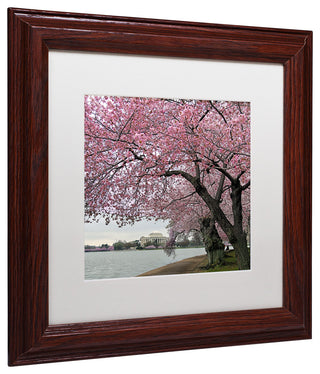 CATeyes 'Tidal Basin Blossoms' Matted Framed Art, 11x11
