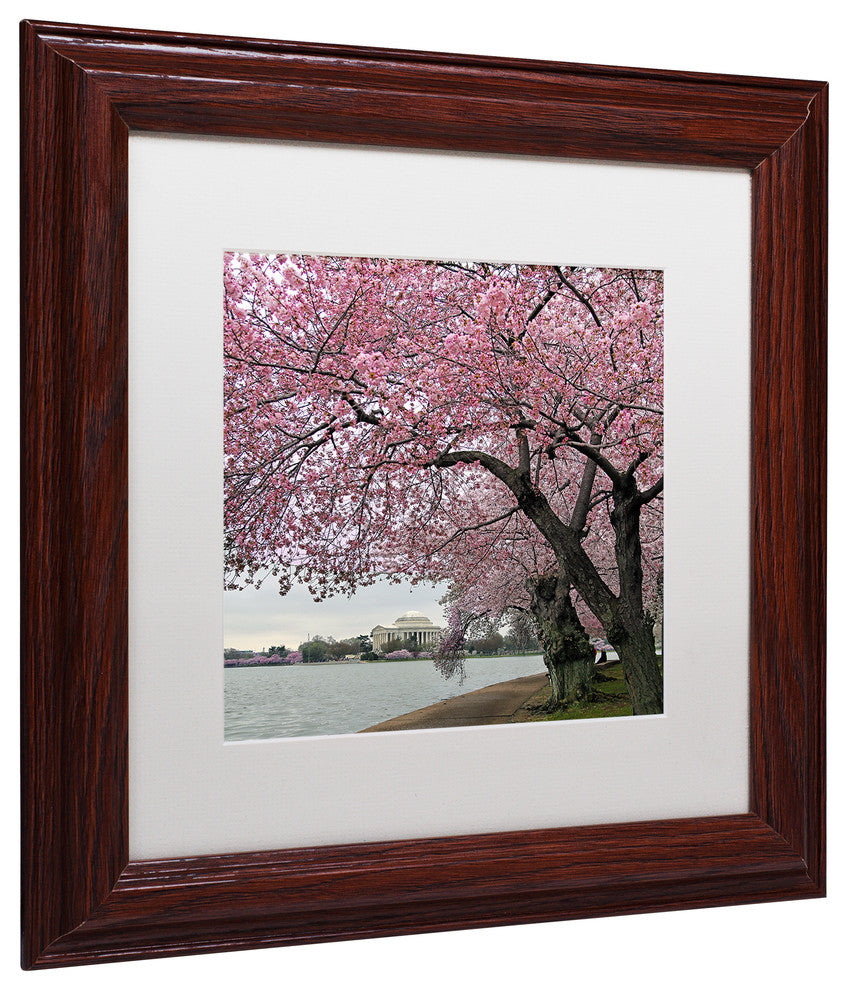 CATeyes 'Tidal Basin Blossoms' Matted Framed Art, 11x11