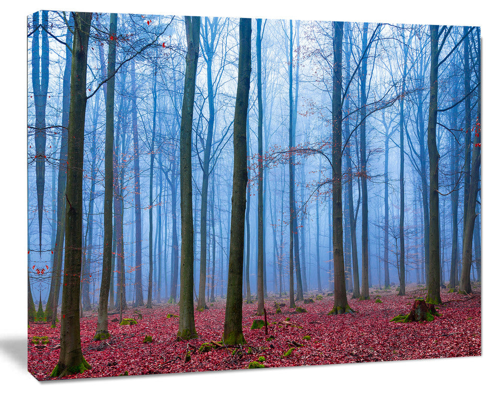 Foggy Forest in Blue and Pink Photo, Modern Forest Canvas Art, 40"x30"