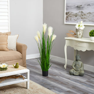 Lifestyle image showing the plant in a real room setup.
