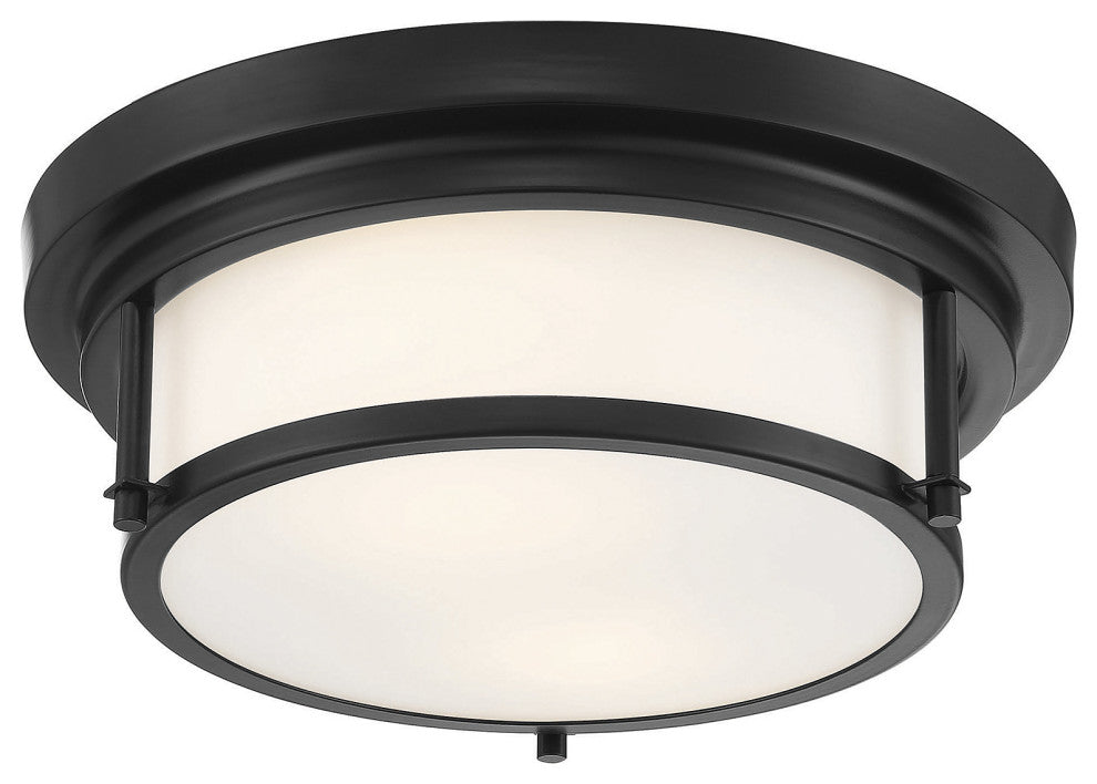 2-Light Ceiling Light, Matte Black