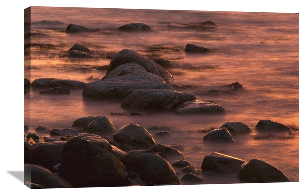 "Morning Sun Reflecting, Jasmund National Park, Ruegen, Germany" Artwork