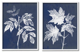 Maple Leaf Elm Stem Vintage Blue White Illustration,2pc, each 11 x 14