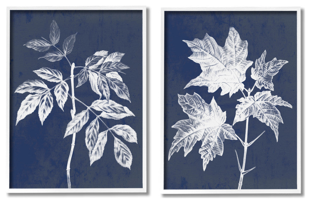Maple Leaf Elm Stem Vintage Blue White Illustration,2pc, each 11 x 14