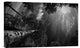 "Dreaming Before The Thunder" Stretched Canvas Giclee by Mikael Jigmo, 22"x14"
