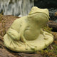 Frog with Bug Garden Statue