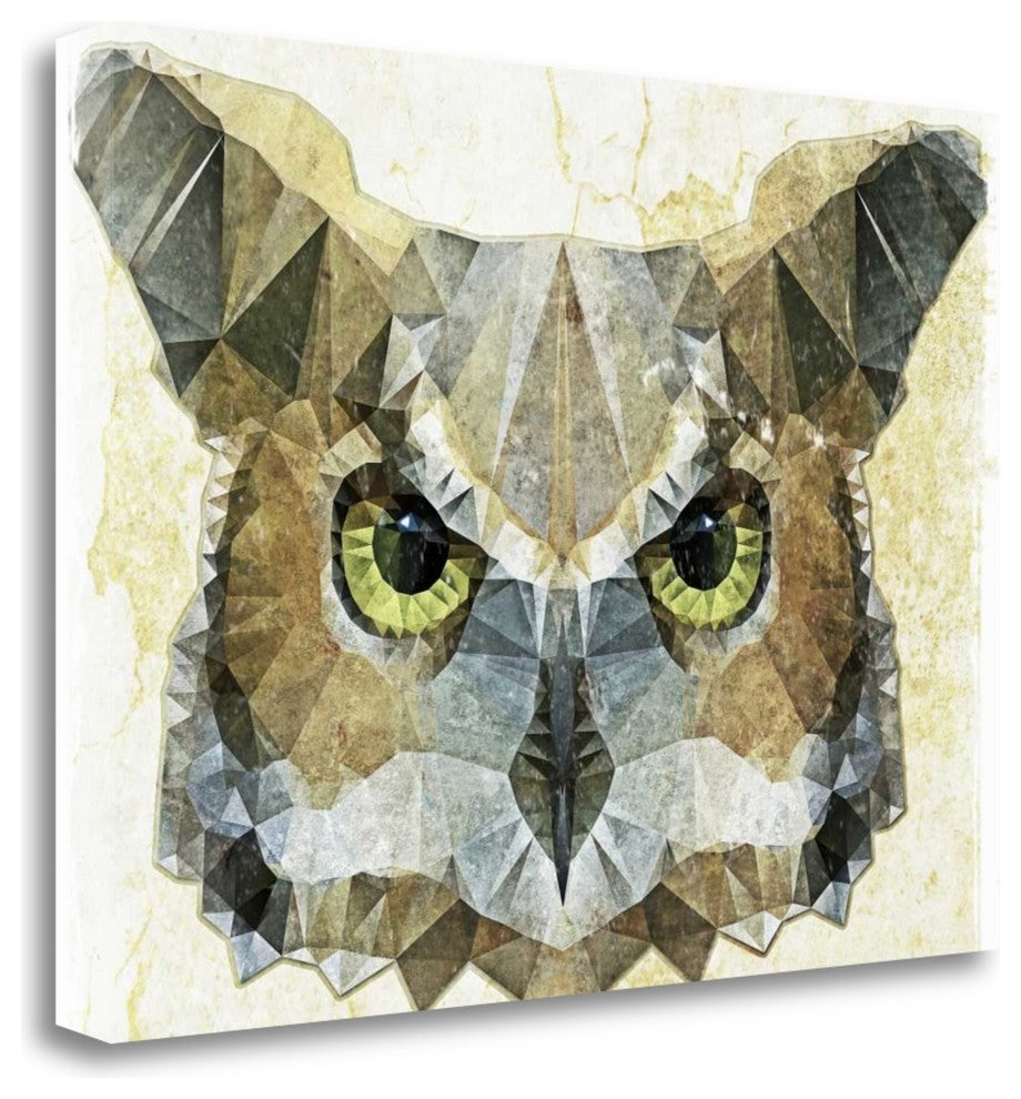 "Abstract Owl" By Ancello, Giclee Print on Gallery Wrap Canvas, Ready to Hang
