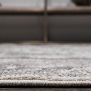 Rosalia Cottage Medallion Area Rug, Gray/Dark Gray, 8 X 10