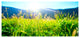 Beautiful Green Nature Wonder, Landscape Canvas Art Print, 60"x28"