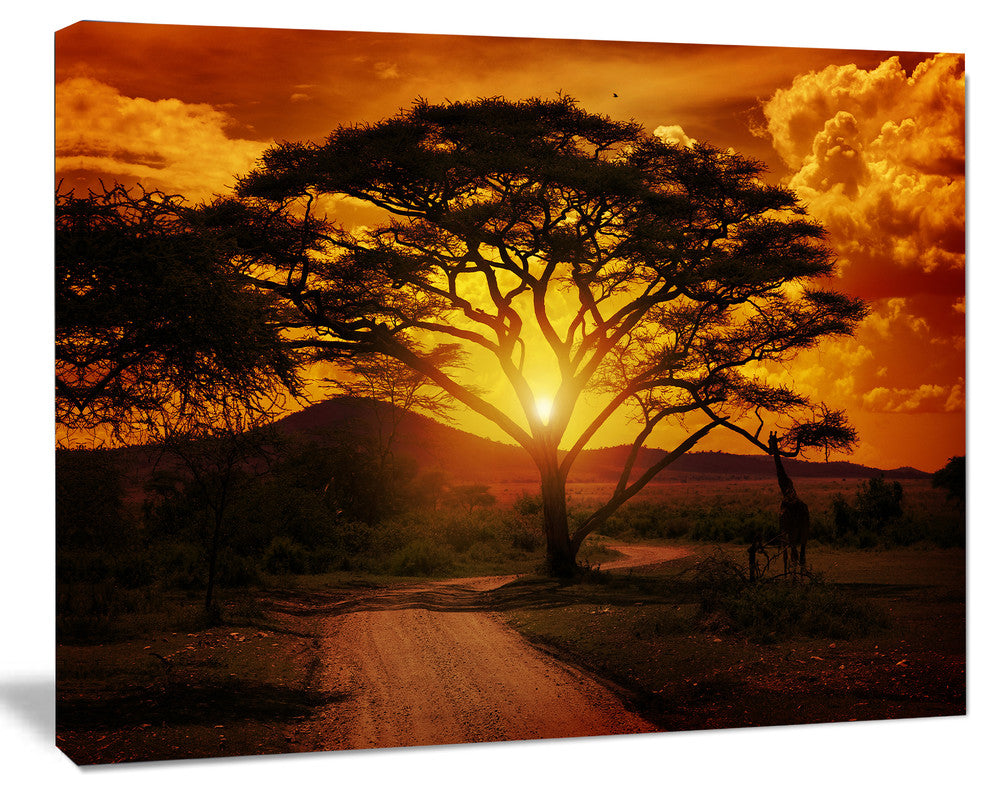 African Sunset with Lonely Tree, African Landscape Canvas Art Print, 40"x30"