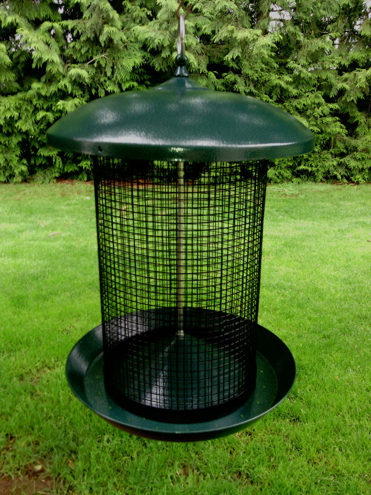 Sunflower Seed Screen Feeder
