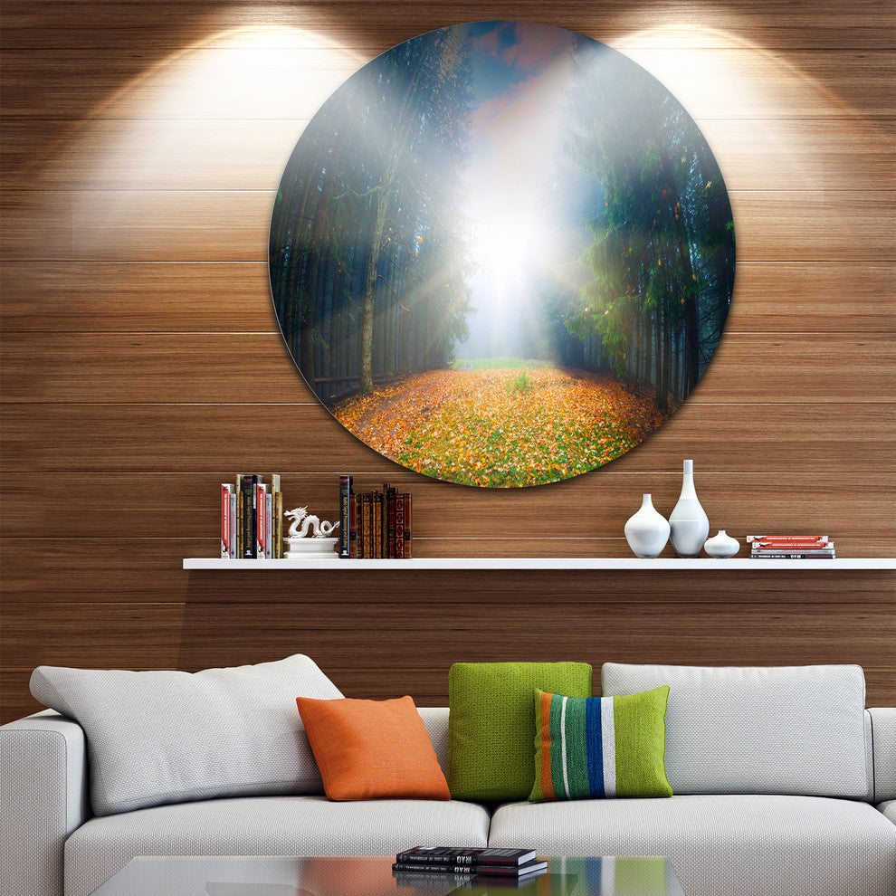 Rising Sun Over Colorful Forest, Landscape Disc Metal Wall Art, 11"