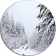 Frosted Forest Trail In Fall, Landscape Photo Disc Metal Artwork, 23"