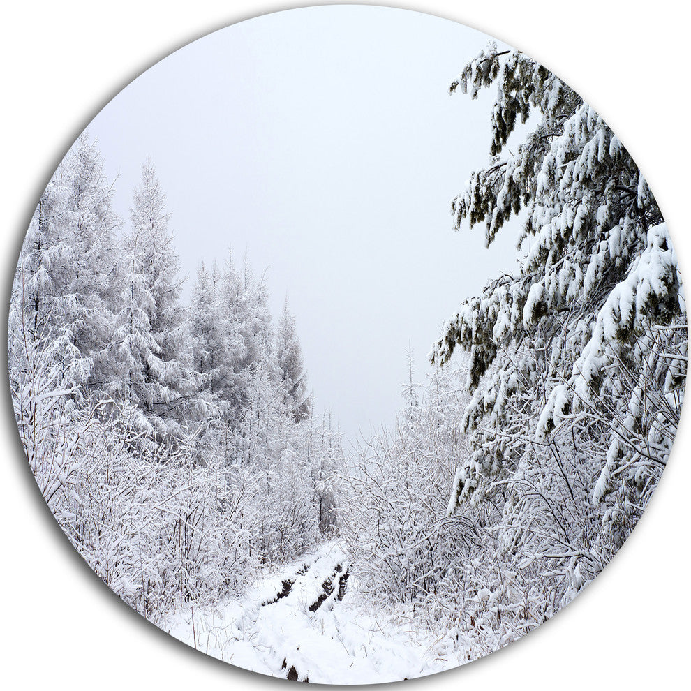 Frosted Forest Trail In Fall, Landscape Photo Disc Metal Artwork, 23"