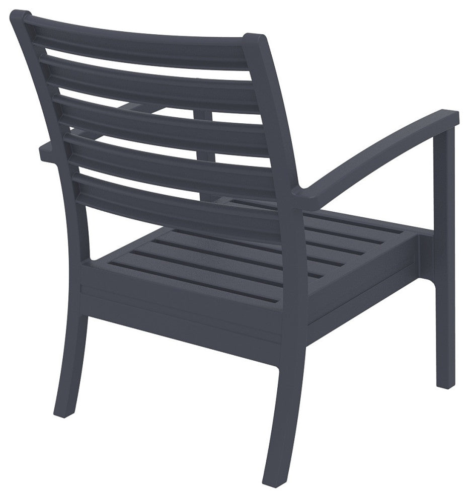 Artemis XL Club Chair, Set of 2, Dark Gray With Acrylic Fabric Natural Cushions