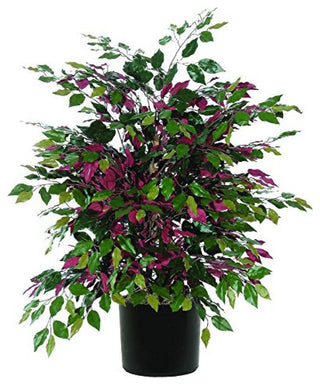 Vickerman Txx0340-06 4' Artificial Capensia Extra Full Bush, Black Plastic Pot