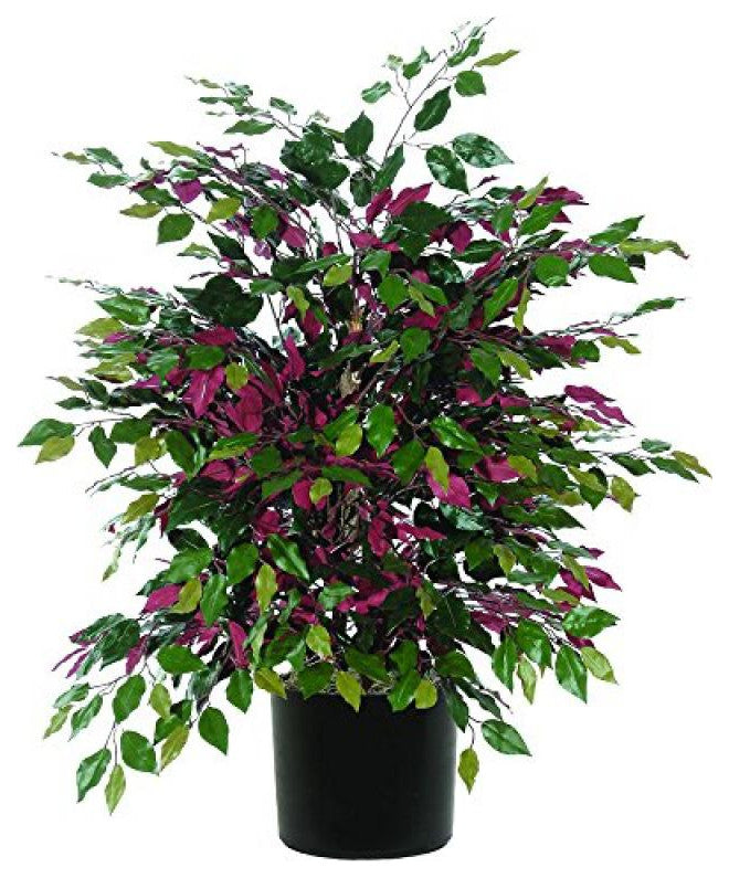 Vickerman Txx0340-06 4' Artificial Capensia Extra Full Bush, Black Plastic Pot