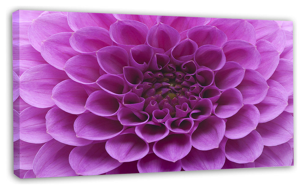 Large Light Purple Flower and Petals, Floral Canvas Art Print, 32"x16"