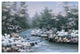 "River Cascade" Digital Paper Print by Diane Romanello, 20"x14"