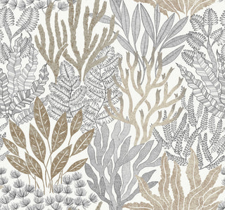 Coral Leaves Taupe and Black Wallpaper