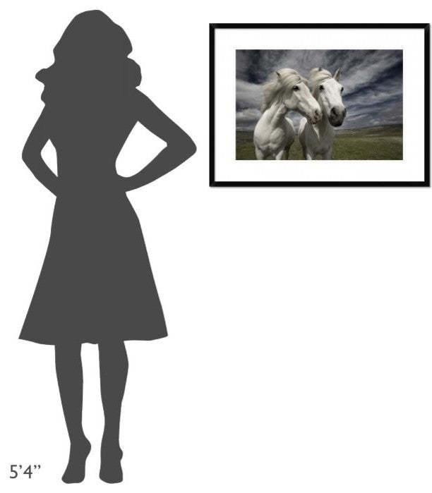 "Inseparables" Framed Digital Print by Bragi Ingibergsson, 32x24"