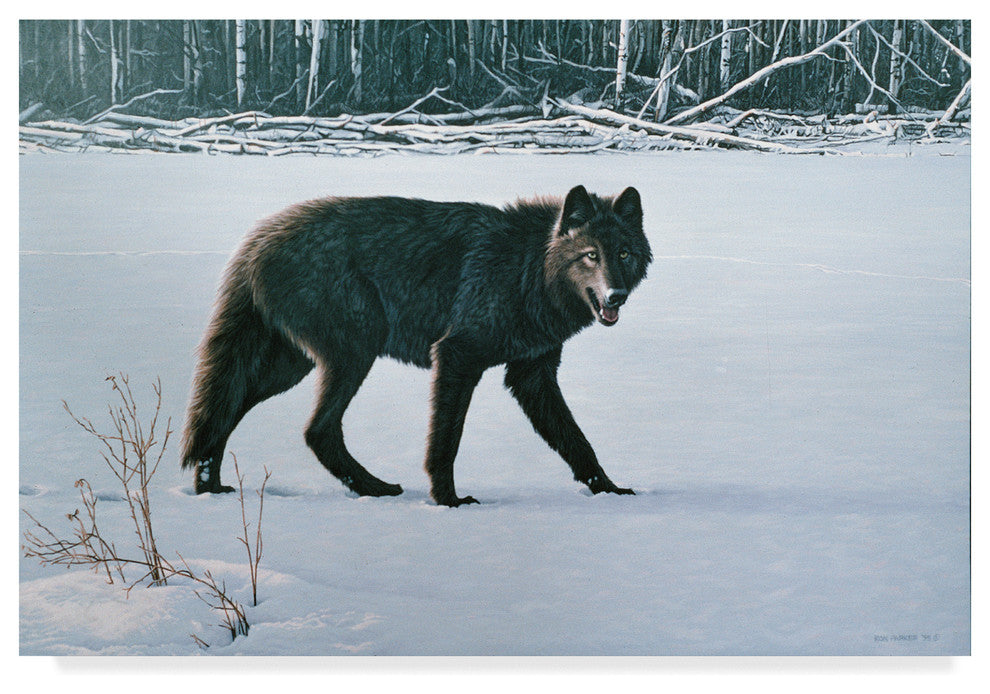 Ron Parker 'Winter Morning' Canvas Art, 47"x30"