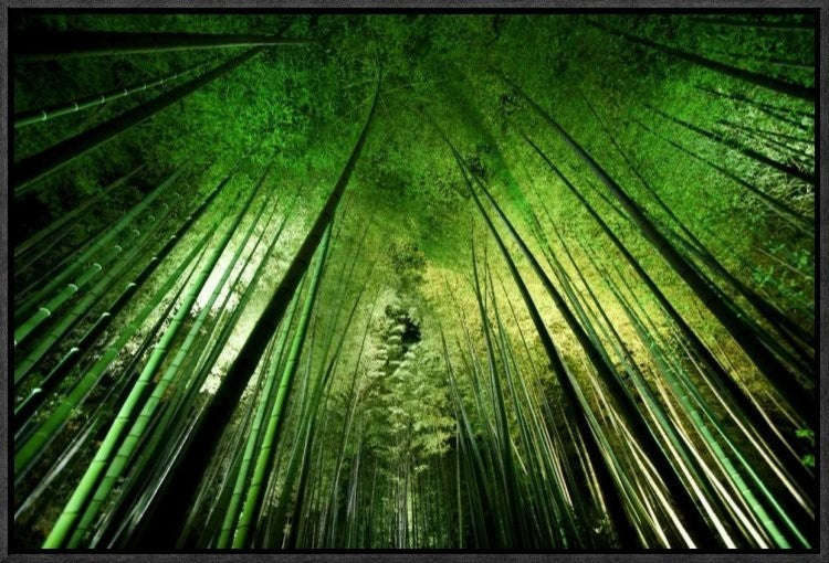 "Bamboo Night" Framed Canvas Giclee by Takeshi Marumoto, 23x16"
